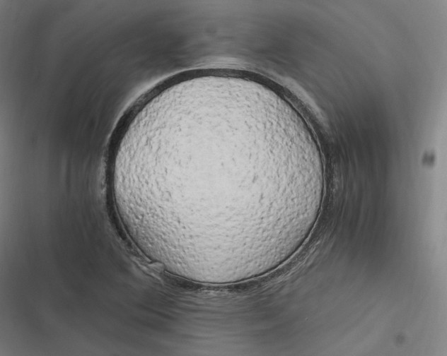 X0000116801364201001081325