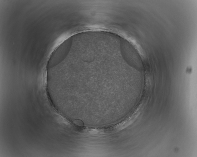 X0000116801365201001081325