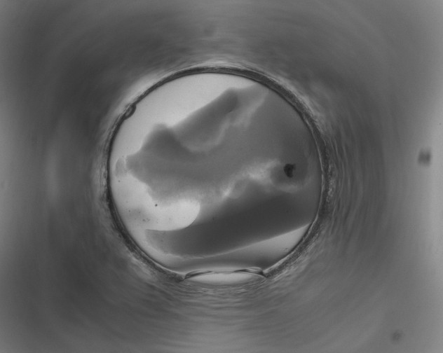 X0000116801367201001081325