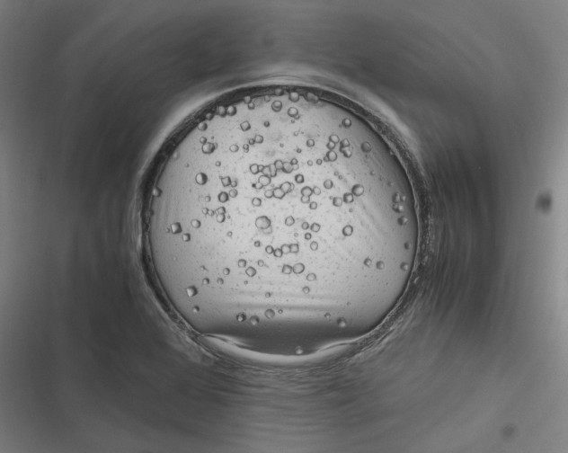 X0000116801368201001081325