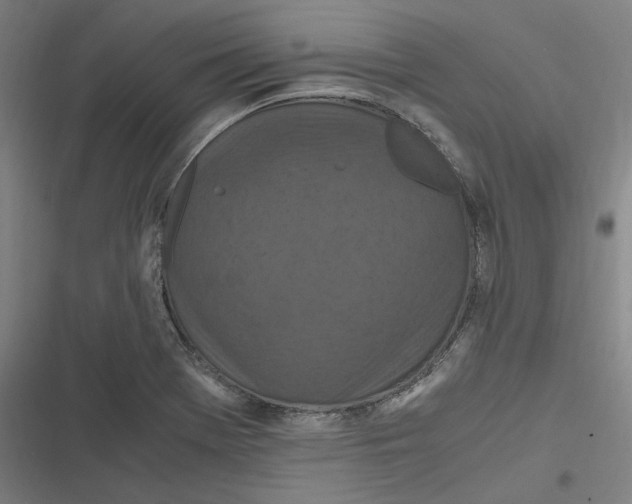 X0000116801369201001081325