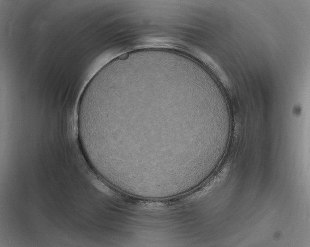 X0000116801370201001081325