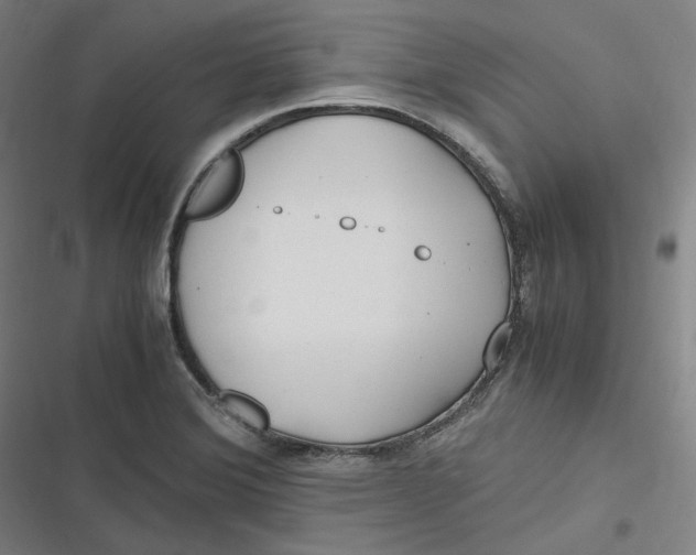 X0000116801372201001081325