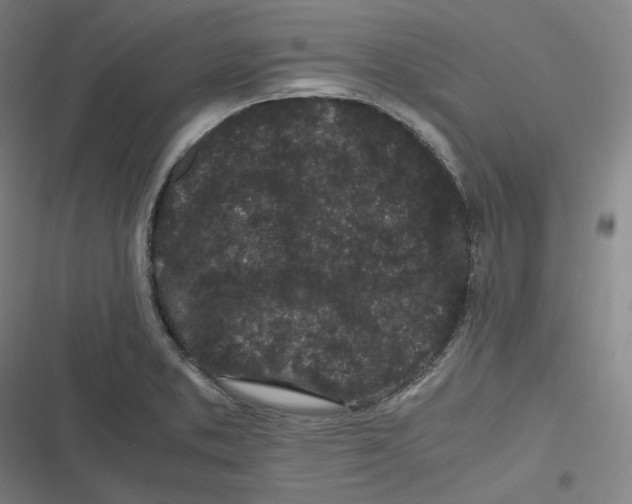 X0000116801373201001081325