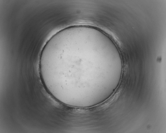 X0000116801374201001081325