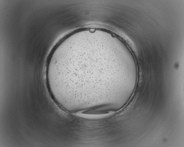 X0000116801376201001081325