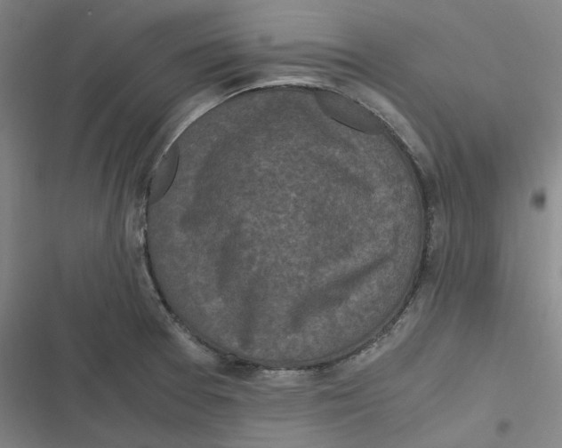 X0000116801377201001081325