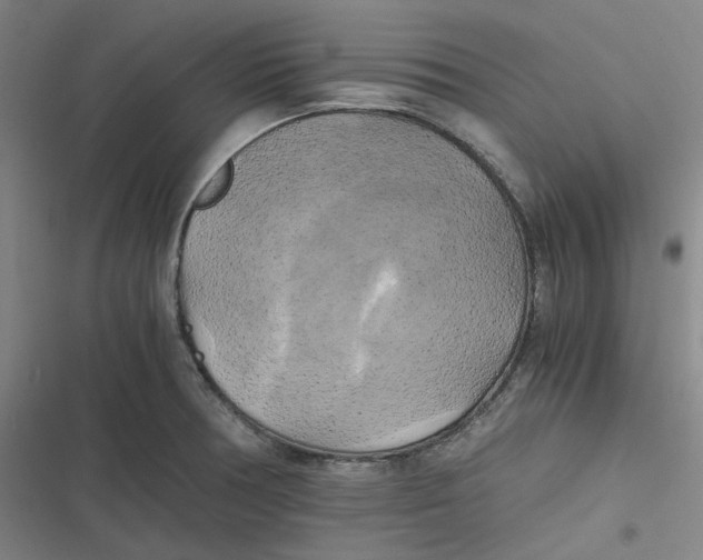 X0000116801378201001081325