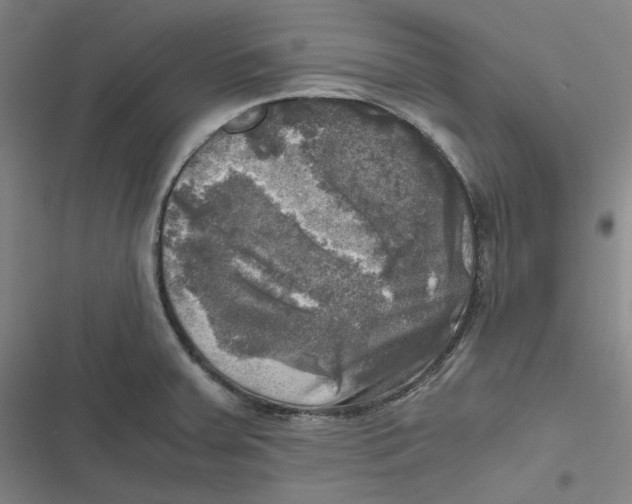 X0000116801379201001081325