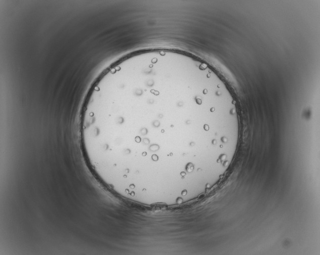 X0000116801380201001081325