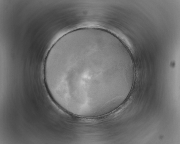 X0000116801382201001081325