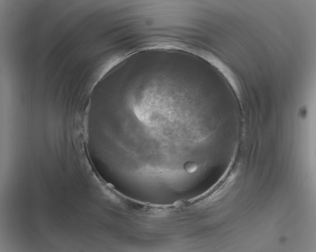 X0000116801385201001081325