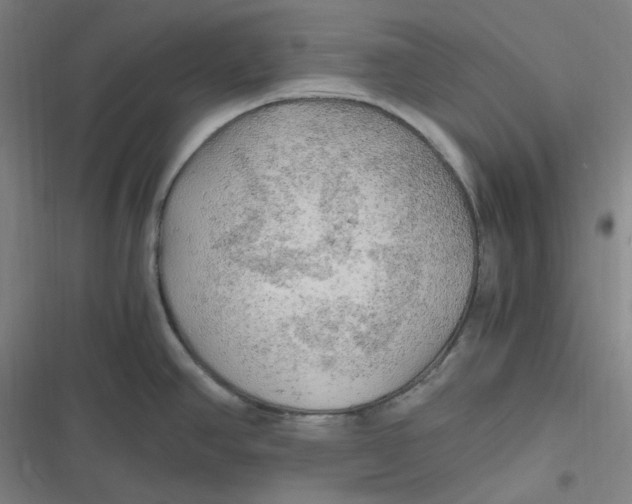 X0000116801390201001081325