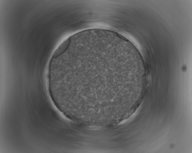 X0000116801391201001081325