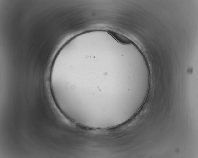 X0000116801392201001081325