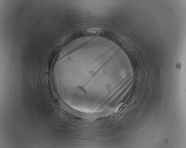 X0000116801394201001081324