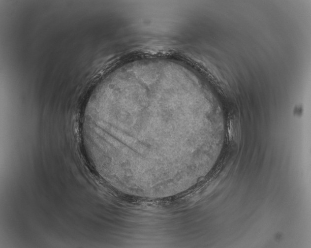 X0000116801396201001081324