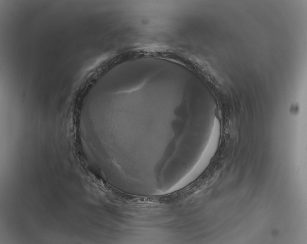 X0000116801398201001081325