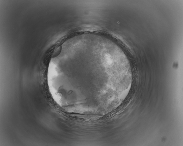 X0000116801399201001081325