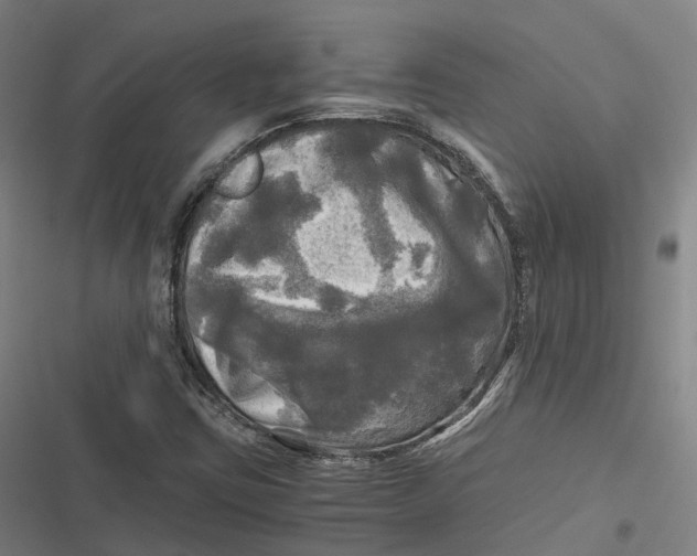 X0000116801403201001081325