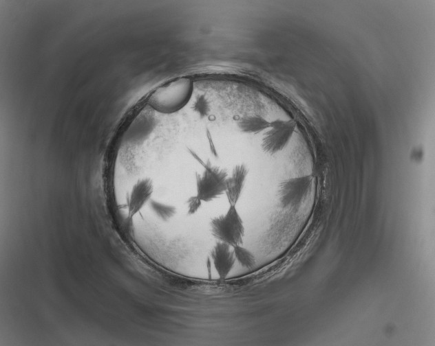 X0000116801404201001081325