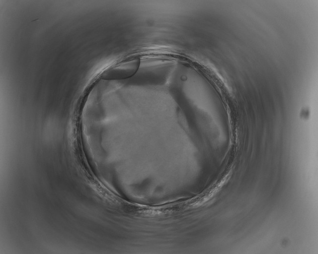 X0000116801405201001081325