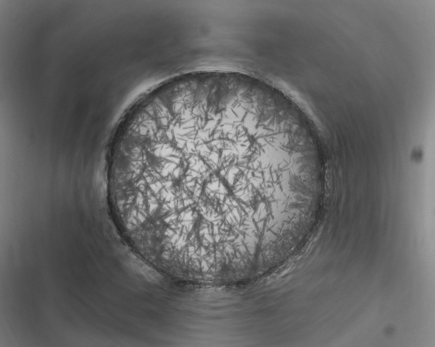 X0000116801408201001081325