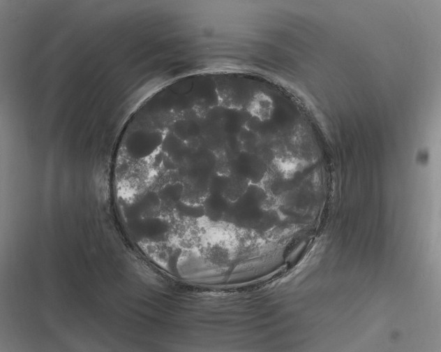 X0000116801409201001081325