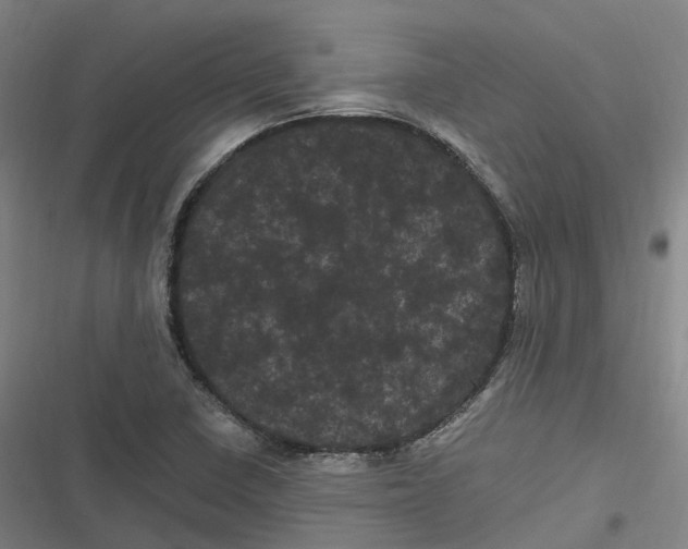 X0000116801410201001081325