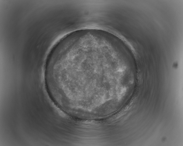 X0000116801416201001081325