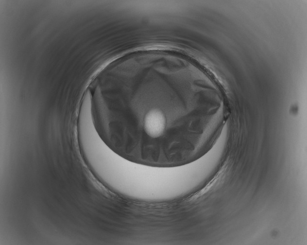 X0000116801417201001081325