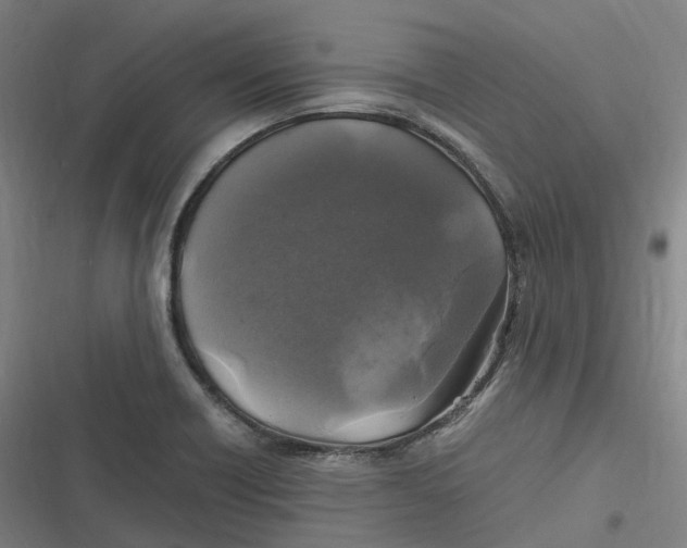 X0000116801418201001081325