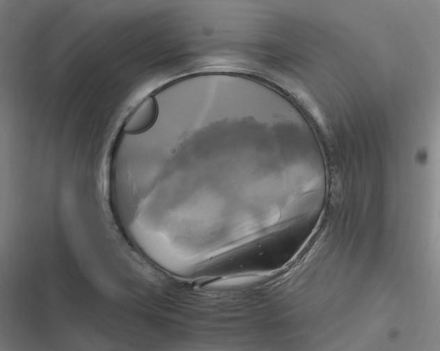 X0000116801419201001081325