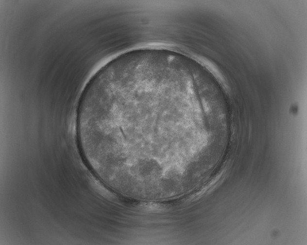 X0000116801420201001081325