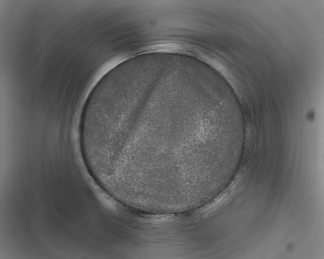 X0000116801426201001081325