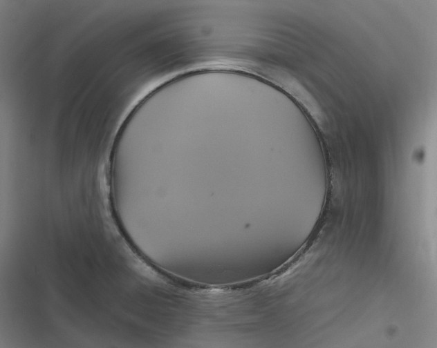 X0000116801428201001081325