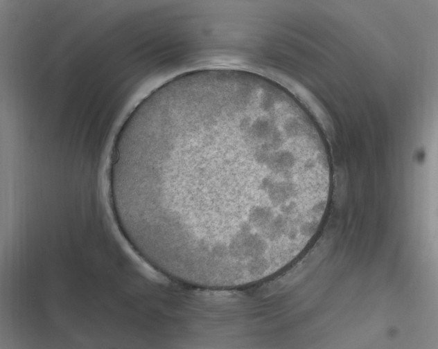 X0000116801432201001081325