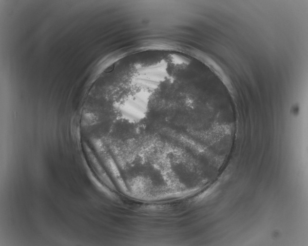 X0000116801433201001081325