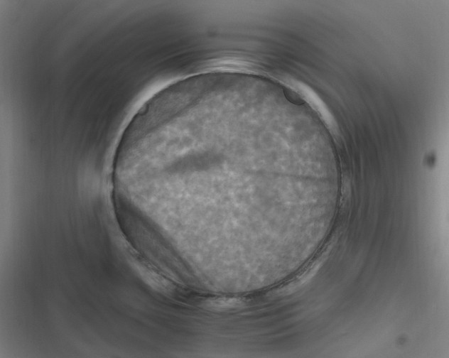 X0000116801435201001081325