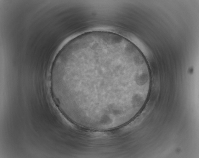 X0000116801436201001081325