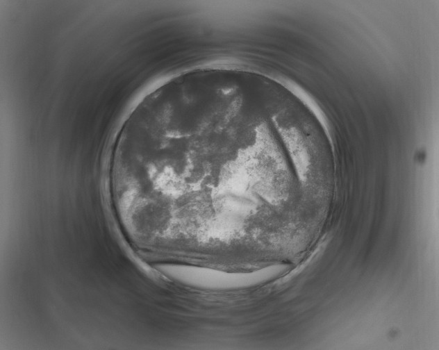 X0000116801437201001081325