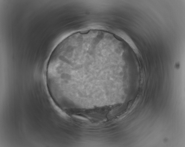 X0000116801439201001081325