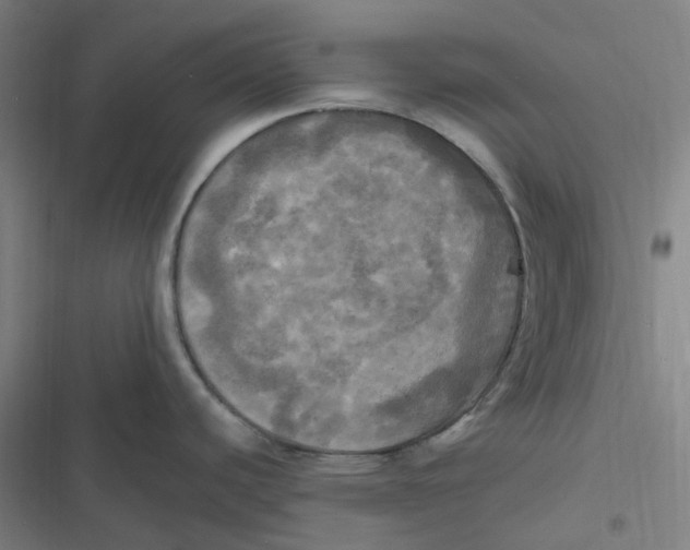 X0000116801440201001081325