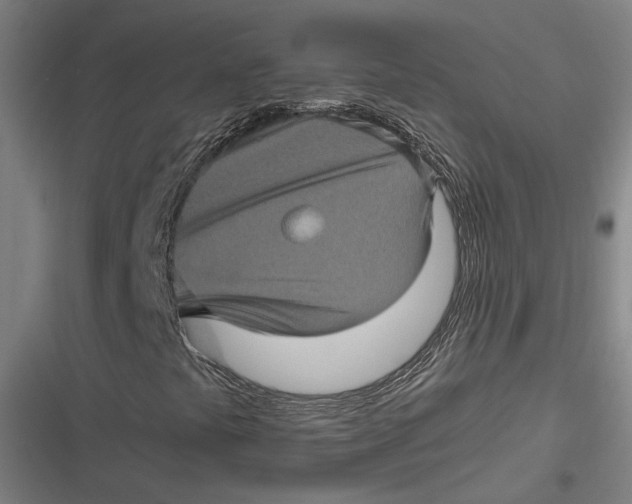 X0000116801441201001081324