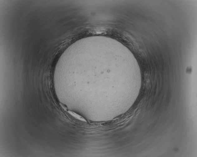 X0000116801442201001081324