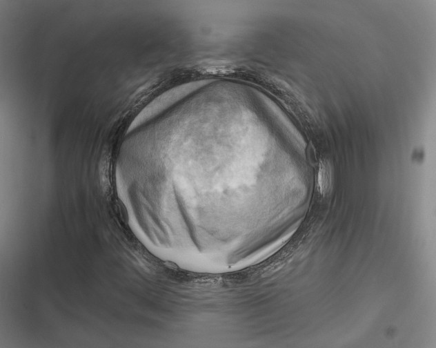 X0000116801444201001081324