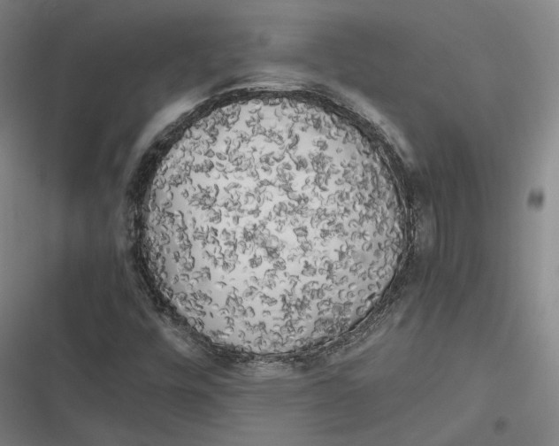 X0000116801448201001081324