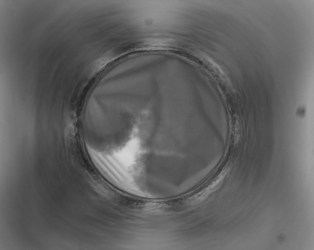 X0000116801449201001081324