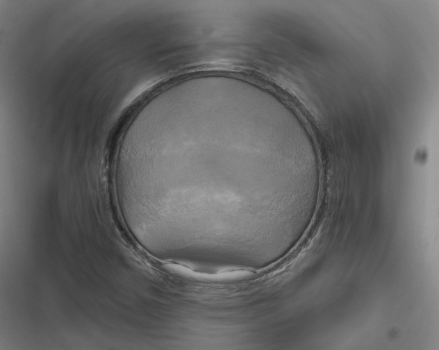 X0000116801450201001081324