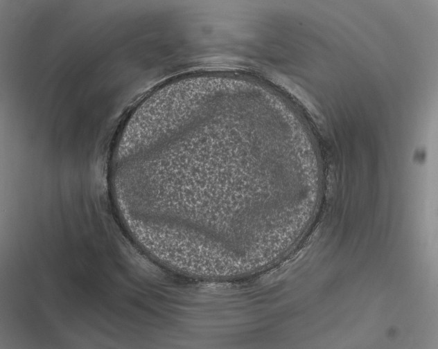 X0000116801451201001081324